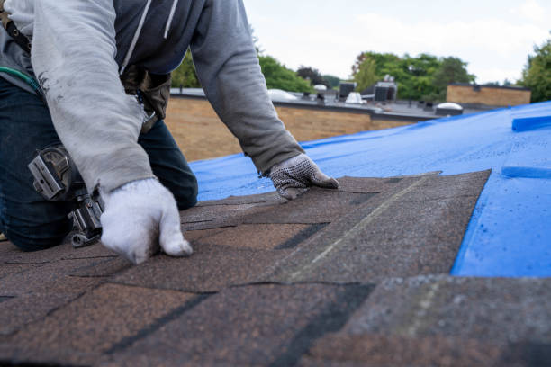 Best Shingle Roofing Installation  in Fort Hunt, VA