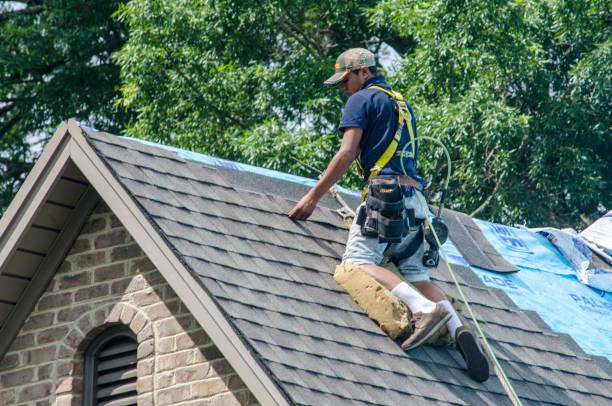 Best Roof Restoration Services  in Fort Hunt, VA
